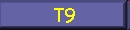 T9