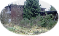 Beweisfoto 1